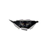 TSC Siyah Sevimli Kedi Yavrusu Araba Sticker 18 cm Çok Renkli, EYh1Y131