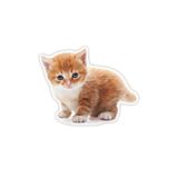 TSC Tekir Kedi Turuncu Yavru Araba Sticker 18cm Model1 Çok Renkli, EYh1Y136