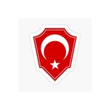 TSC Türk Bayrağı Arma Logo Sticker 16cm Çok Renkli 2 Adet, EYh1Y144