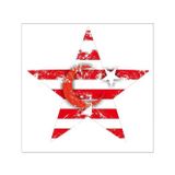 TSC Yıldızlı Türk Bayrağı Araba MotorsikletSticker 19 CM