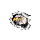 TSC Yırtık Metal Tasarım Kartal Araba Oto Sticker Çok Renkli, RENK-1A-100