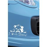 TSC Z1965 Fransız Bulldog Köpek Yapıştırma Sticker