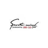TSC Z875 Audi Q5 Mind Sport Far Üstü Kaput Yapıştırma Oto Sticker