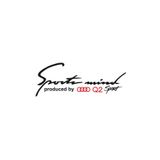 TSC Z877 Audi Q2 Mind Sport Far Üstü Kaput Yapıştırma Oto Sticker