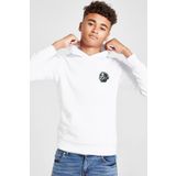Tshirthane Beyblade Cyber Pegasus Beyaz Çocuk 3ip Kapşonlu Sweatshirt P18279S6643, 11-12 Yaş