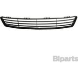TŞT Ford Fiesta Mk6 Ön Tampon Panjuru Orta 2002- (Oem No: 2S61A018A58Acyyıf)