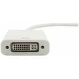 Ttaf Mini Dısplayport - DVI Adaptörü