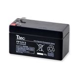 Ttec 2024 12 V 1.3 Ah Kuru Akü
