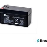 Ttec Winshopp 12V 1,3Ah Bakımsız Kuru Akü (K95)