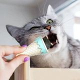 TTT DONDURMA ŞEKLİNDE KEDİ NANESİ KEDİ OTU