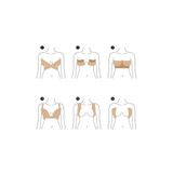 TTT Göğüs Dikleştirme Bandı S Beden 2.5 Cm.
