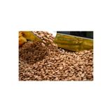 TTTFOODS Gün Kurusu Kayısı Tatlı Çekirdeği 1 kg