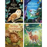 Tübitak Ilk Okuma Kitapları - Mevsimler - Gece ve Gündüz - Orman Hayvanları - Böcekler - 4 Kitap Takım
