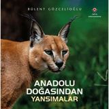 Tübitak Popüler Bilim Kitapları Anadolu Doğasından Yansımalar