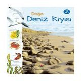 Tübitak Popüler Bilim Kitapları Doğa Deniz Kıyısı