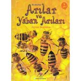 Tübitak Popüler Bilim Kitapları Ilk Okuma - Arılar ve Yaban Arıları