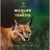 Tübitak Popüler Bilim Kitapları Wıldlıfe Of Türkiye