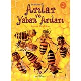 Tübitak Yayınları İlk Okuma - Arılar ve Yaban Arıları - James Maclaine - Bilim & Teknik Türünde 7+ Yaş Kitabı