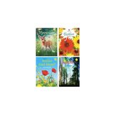 Tübitak Yayınları Ilk Okuma Mevsimler - Çiçekler - Bitkiler Nasıl Büyür? - Ağaçlar- 4 Kitap Set