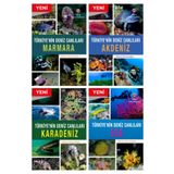 Tübitak Yayınları Tübitak Türkiye"nin Deniz Canlıları Serisi 4 Kitap