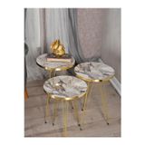 Tubix Gold Metal Ayaklı Fiskos Sehpa
