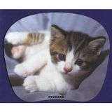 Tucano MPBOX-REF-09 Natura Mouse Pad Yavru Kedi