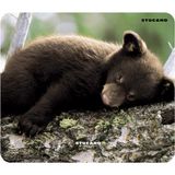 Tucano MPBOX-REF-35 Natura Mouse Pad Yavru Ayı Kahverengi