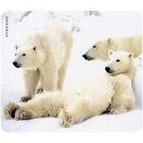 Tucano MPDEL-114 Natura Mouse Pad Beyaz Kutup Ayıları