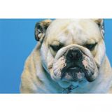Tucano MPDEL-212 Natura Mouse Pad Bulldog