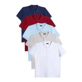 TUDORS 5'li Paket Polo Yaka T-shirt Bordo-Gri-Lacivert-Beyaz-Mavi Slim Fit Pamuklu Pike, S, TS240030, Bordo-Gri-Lacivert-Beyaz-Mavi, Erkek