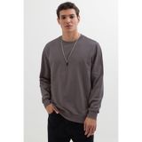 Tudors Erkek Kapüşonsuz Sweatshirt, Relax Fit,%100 Pamuk, 2 İplik, Bisiklet Yaka, Koyu Gri, L Beden