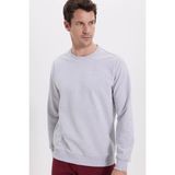 Tudors Erkek Relax Fit Rahat Kesim%100 Pamuk 2 İplik Bisiklet Yaka Sweatshirt,Gri Xl