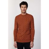 Tudors Erkek Slim Fit Bisiklet Yaka Desenli Triko Kazak,Tarçın S