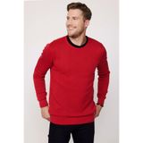 Tudors Erkek Slim Fit Bisiklet Yaka Petek Desenli Kırmızı Kazak