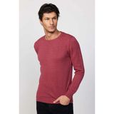 Tudors Erkek Slim Fit Dar Kesim Bisiklet Yaka Petek Desenli Bordo Triko Kazak