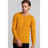 Tudors Erkek Slim Fit Dar Kesim Bisiklet Yaka Petek Desenli Hardal Triko Kazak