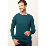 Tudors Erkek Slim Fit Dar Kesim Bisiklet Yaka Petek Desenli Yeşil Triko Kazak