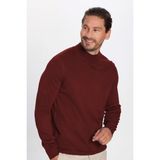 Tudors Erkek Slim Fit Dar Kesim Yarım Balıkçı Yaka Düz Bordo Triko Kazak