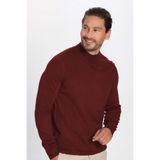 Tudors Erkek Slim Fit Dar Kesim Yarım Balıkçı Yaka Düz Triko Kazak,Bordo 2Xl