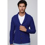 Tudors Erkek Slim Fit Hırka, Düğmeli, Desenli, Sax Mavi