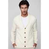 Tudors Erkek Slim Fit Hırka, Düğmeli, Desenli, Yumuşak Dokulu, Ekru