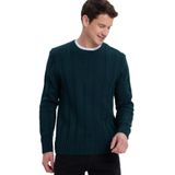 Tudors Erkek Standart Fit Normal Kesim Bisiklet Yaka Desenli Yeşil Kazak - 2XL