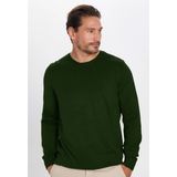Tudors Erkek Standart Fit Normal Kesim Bisiklet Yaka Yeşil Triko Kazak - 2XL