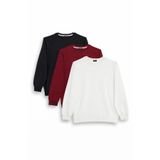 Tudors Erkek Sweatshirt, 3'lü Set, Siyah-Bordo-Beyaz, Relax Fit,%100 Pamuk, Bisiklet Yaka, S Beden