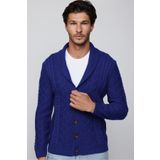Tudors HR240005-DSB4 Slim Fit Dar Kesim Desenli Yumuşak Dokulu Düğmeli Sax Mavi Erkek Hırka