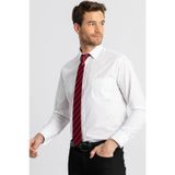 Tudors Klasik Fit Rahat Kesim Cotton Efekt Poplin Erkek Gömlek