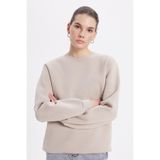 TUDORS Oversize Sweatshirt İçi Polarlı Rengi, S, SW250032-19, Taş, kadın