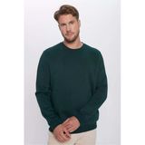 TUDORS Relax Fit İçi Polarlı Bisiklet Yaka Sweatshirt, XL, SW220005-000, Yeşil, erkek
