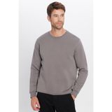 TUDORS Relax Fit İçi Polarlı Bisiklet Yaka Sweatshirt, XL, SW220005, Gri, erkek