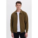 TUDORS Relax Fit Pamuklu İç Polarlı Fermuarlı Polo Yaka Cepli Sweatshirt, M, SW250015, Yeşil, erkek